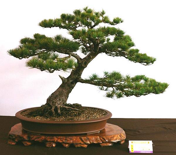 DSC_6629.jpg DSC_6629.jpg