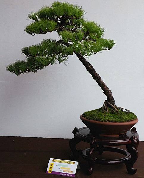 DSC_6638.jpg DSC_6638.jpg