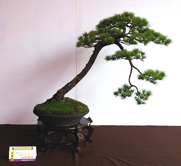 DSC_6641.jpg DSC_6641.jpg