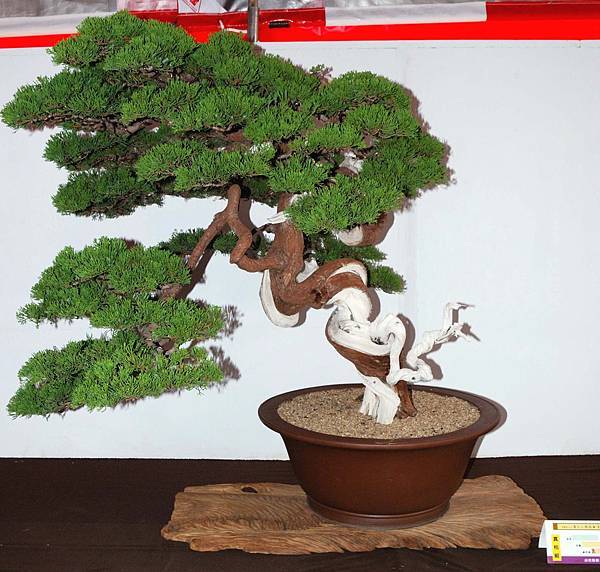 DSC_6646.jpg DSC_6646.jpg