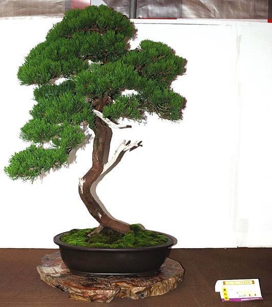 DSC_6656.jpg DSC_6656.jpg