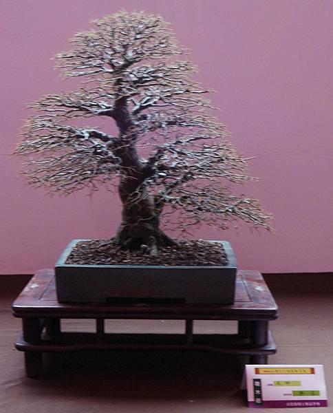 DSC_6660.jpg DSC_6660.jpg