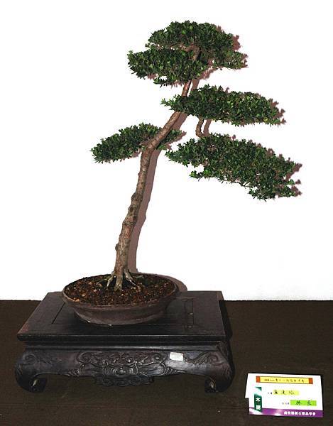 DSC_6672.jpg DSC_6672.jpg