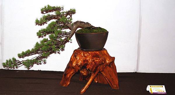 DSC_6668.jpg DSC_6668.jpg