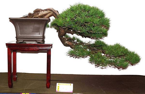 DSC_6670.jpg DSC_6670.jpg