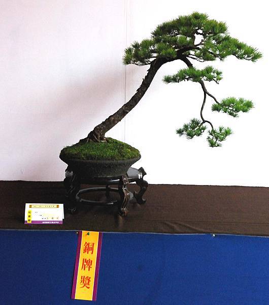 DSC_6680.jpg DSC_6680.jpg