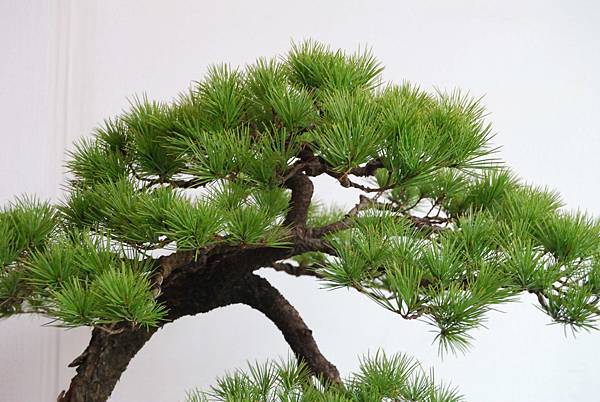 DSC_6684.jpg DSC_6684.jpg