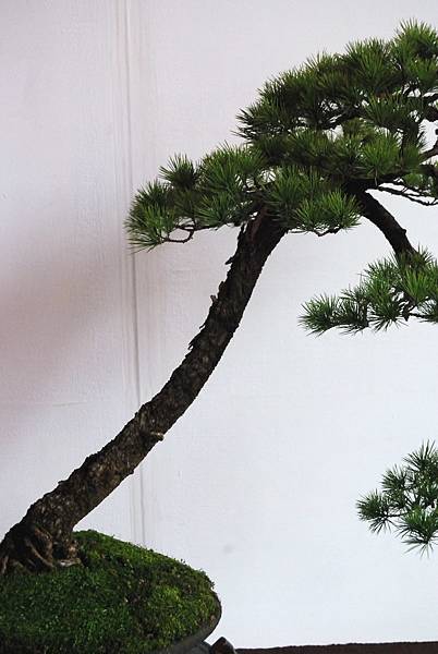 DSC_6683.jpg DSC_6683.jpg