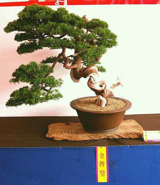 DSC_6693.jpg DSC_6693.jpg