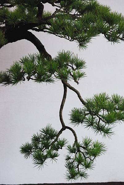 DSC_6685.jpg DSC_6685.jpg