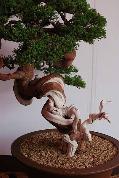 DSC_6695.jpg DSC_6695.jpg