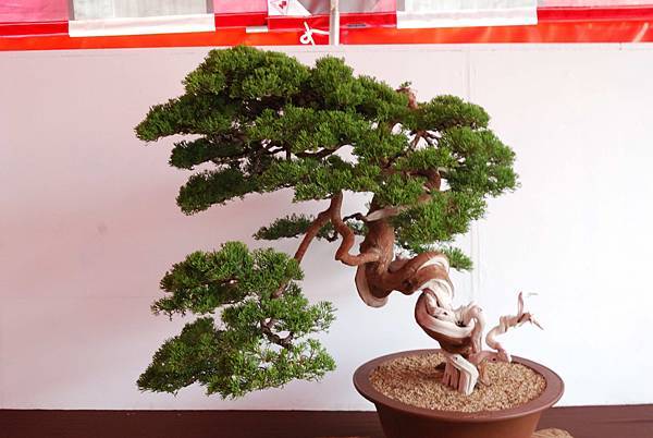 DSC_6697.jpg DSC_6697.jpg