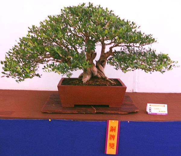 DSC_6700.jpg DSC_6700.jpg