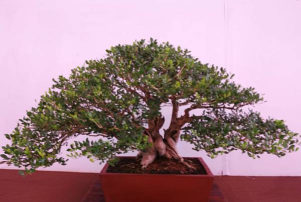 DSC_6704.jpg DSC_6704.jpg