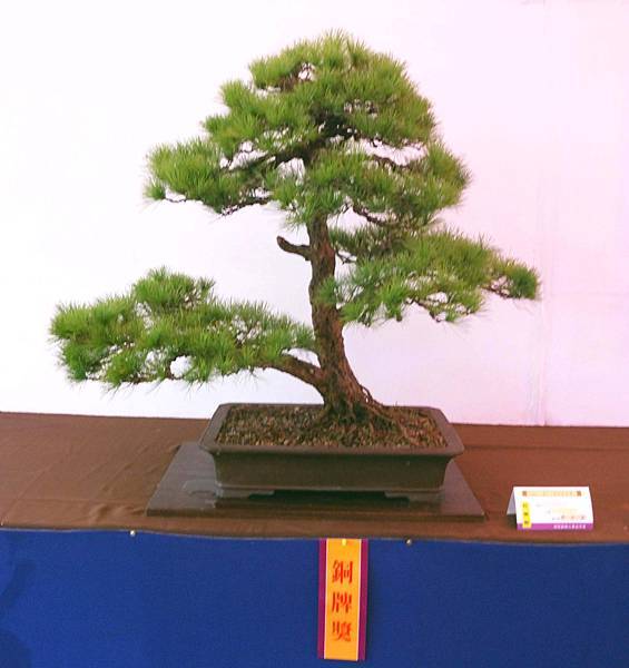 DSC_6706.jpg DSC_6706.jpg