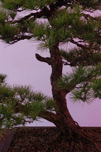 DSC_6711.jpg DSC_6711.jpg