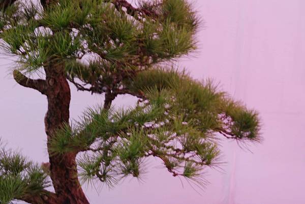 DSC_6715.jpg DSC_6715.jpg