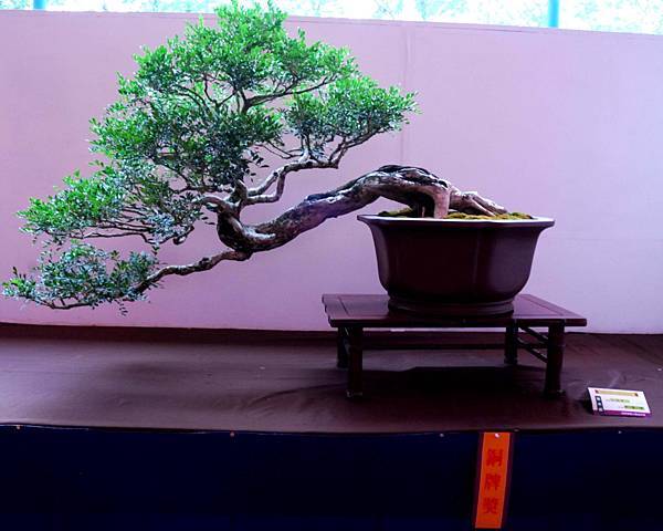 DSC_6718.jpg DSC_6718.jpg