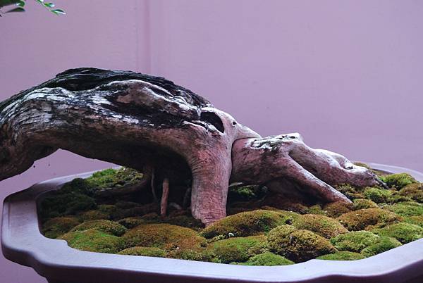 DSC_6719.jpg DSC_6719.jpg