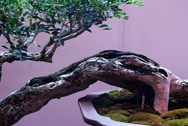 DSC_6720.jpg DSC_6720.jpg