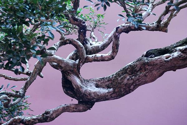 DSC_6721.jpg DSC_6721.jpg