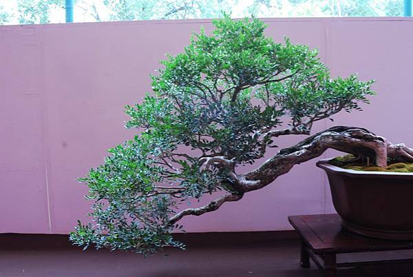 DSC_6723.jpg DSC_6723.jpg