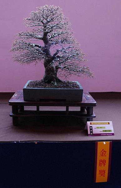 DSC_6725.jpg DSC_6725.jpg