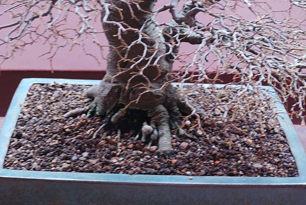 DSC_6727.jpg DSC_6727.jpg