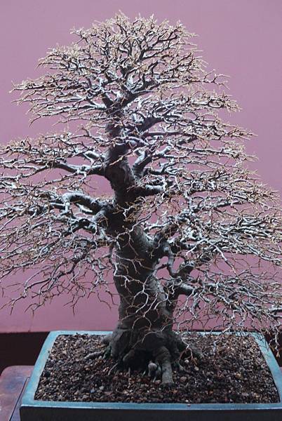 DSC_6729.jpg DSC_6729.jpg