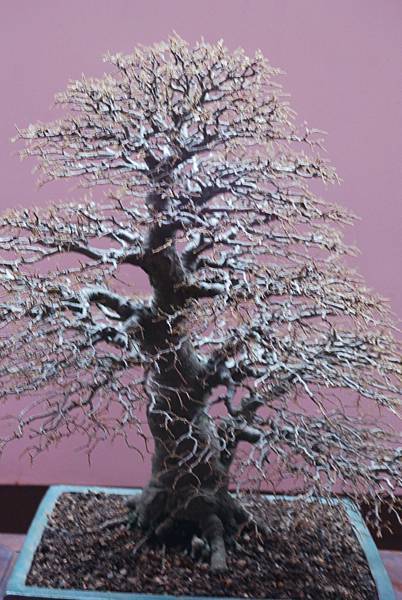 DSC_6728.jpg DSC_6728.jpg