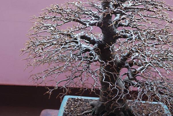 DSC_6730.jpg DSC_6730.jpg