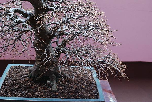 DSC_6731.jpg DSC_6731.jpg