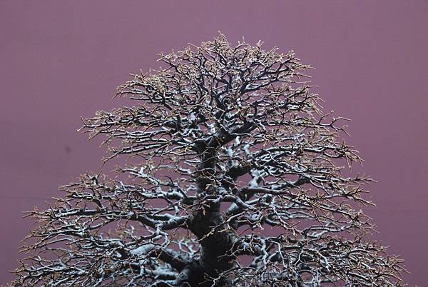 DSC_6733.jpg DSC_6733.jpg