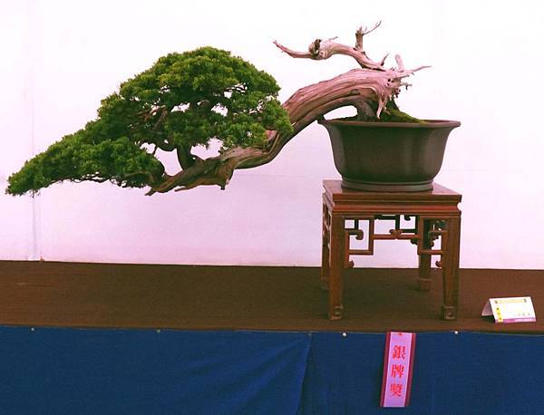 DSC_6734.jpg DSC_6734.jpg