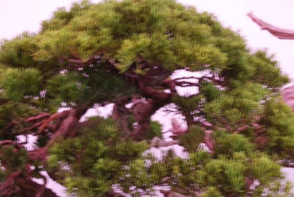 DSC_6739.jpg DSC_6739.jpg