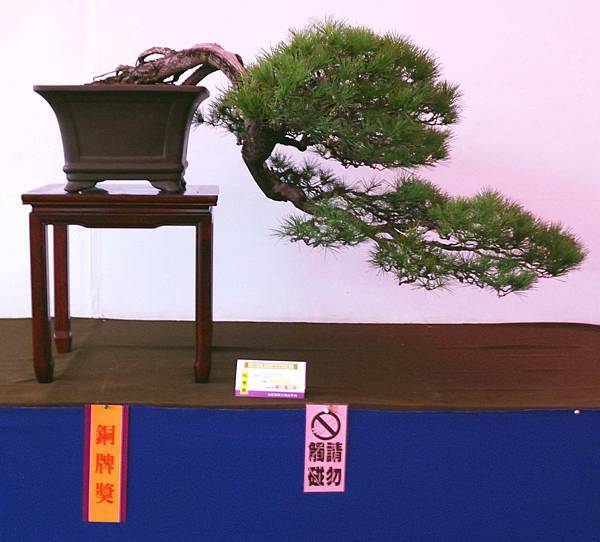 DSC_6741.jpg DSC_6741.jpg