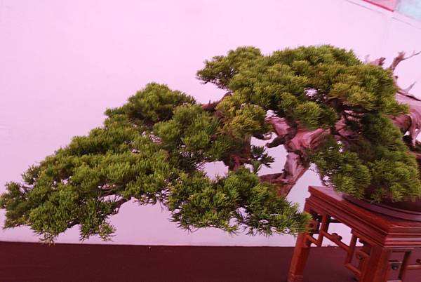 DSC_6740.jpg DSC_6740.jpg