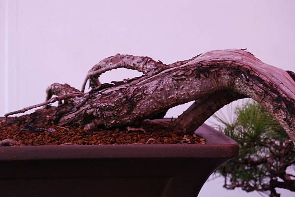 DSC_6743.jpg DSC_6743.jpg