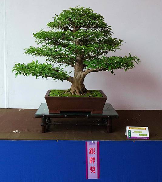 DSC_6752.jpg DSC_6752.jpg