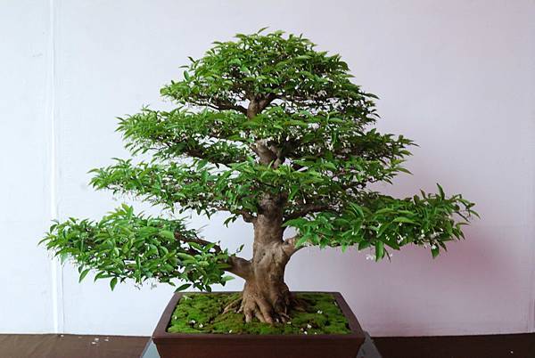 DSC_6756.jpg DSC_6756.jpg