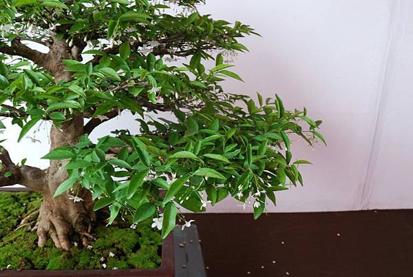 DSC_6758.jpg DSC_6758.jpg