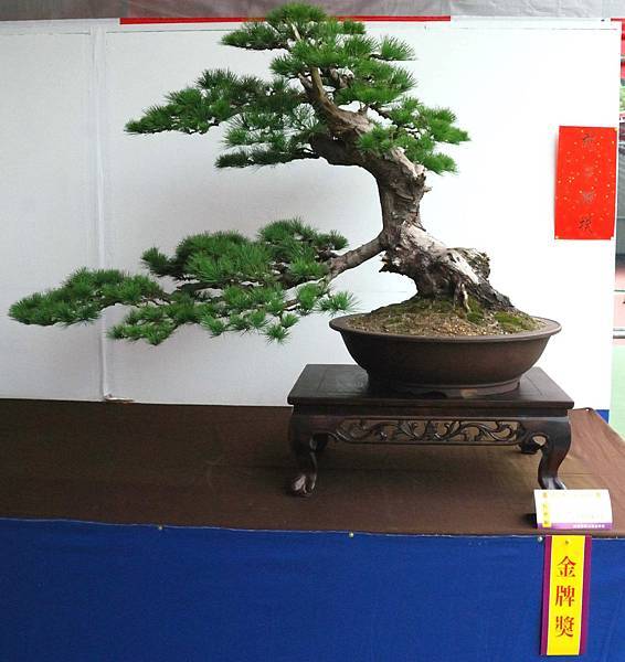 DSC_6762.jpg DSC_6762.jpg