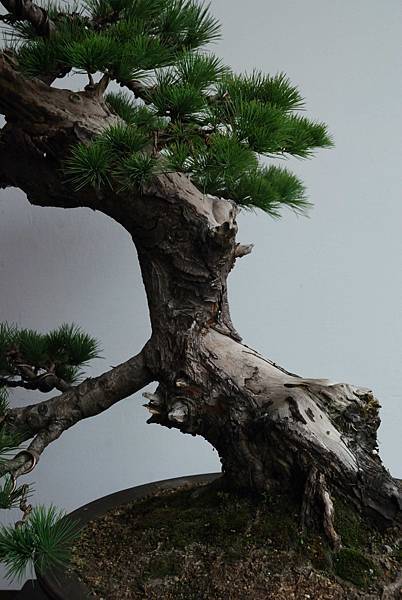 DSC_6765.jpg DSC_6765.jpg