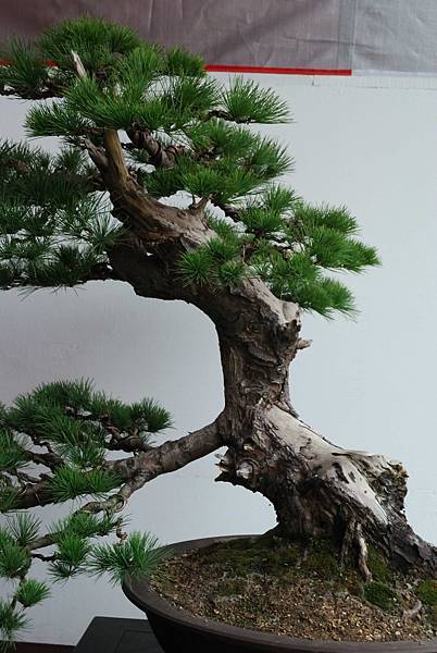 DSC_6766.jpg DSC_6766.jpg