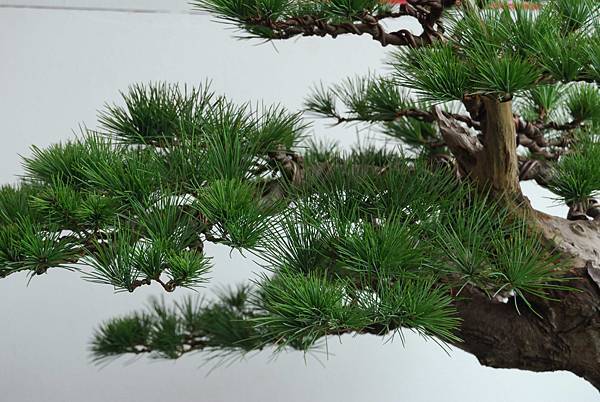 DSC_6770.jpg DSC_6770.jpg