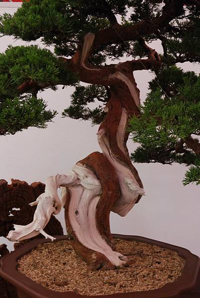 DSC_6773.jpg DSC_6773.jpg