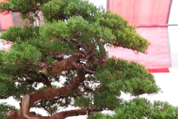 DSC_6780.jpg DSC_6780.jpg