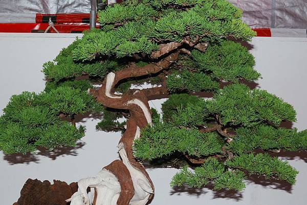 DSC_6783.jpg DSC_6783.jpg