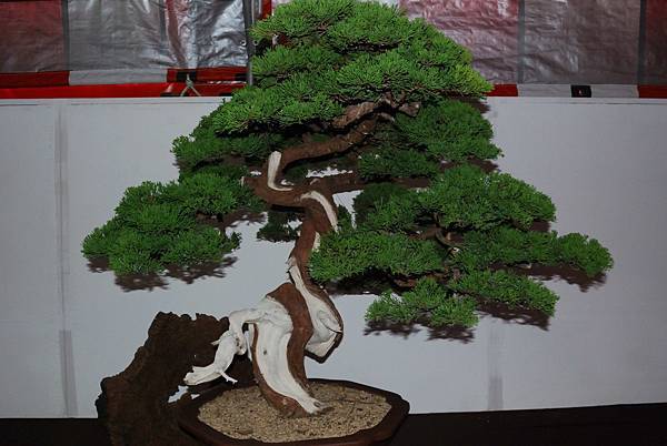 DSC_6784.jpg DSC_6784.jpg