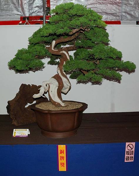 DSC_6785.jpg DSC_6785.jpg